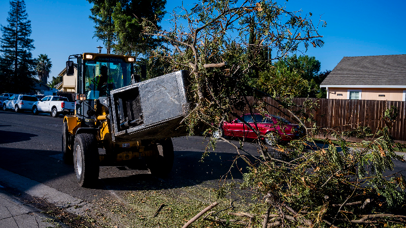 See ‘The Claw’ begin fall leaf collection in Sacramento