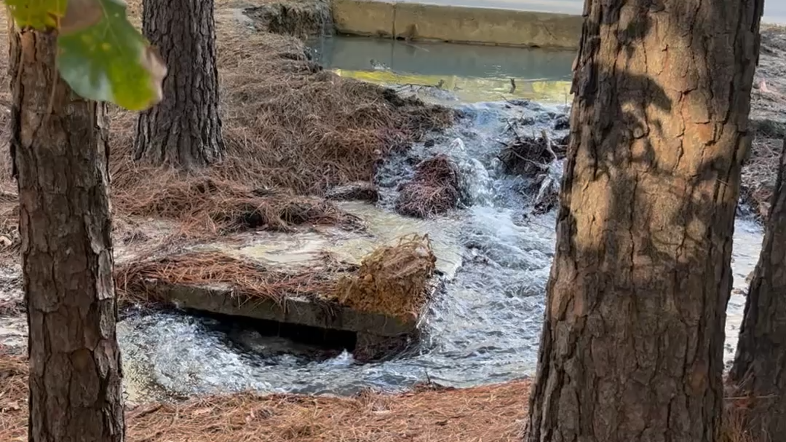 Water pours from Columbia water line break