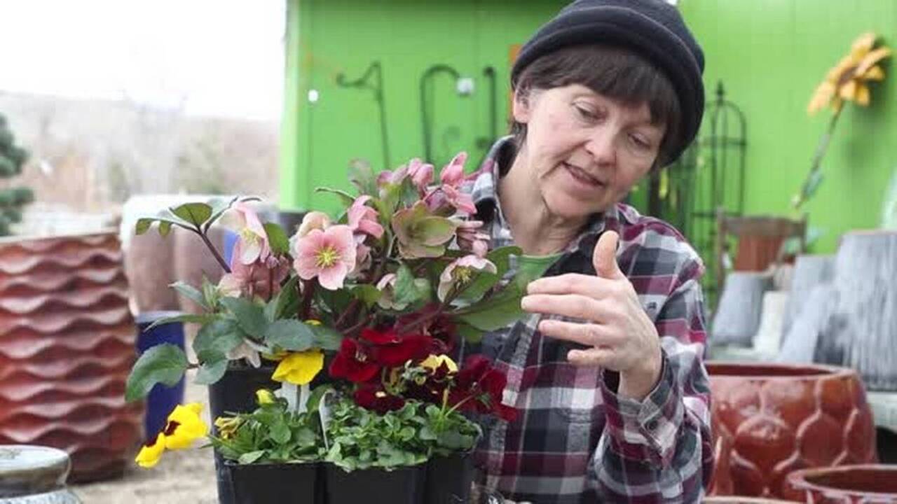 Growing a monochrome garden