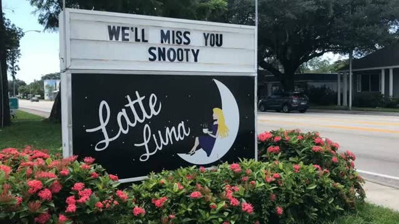 Latte Luna coffee shop looking for new owner