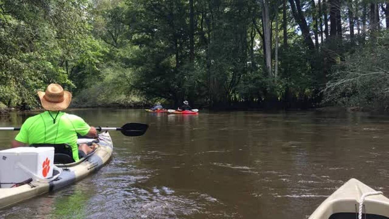 A canoe trip on Lynches River will calm you