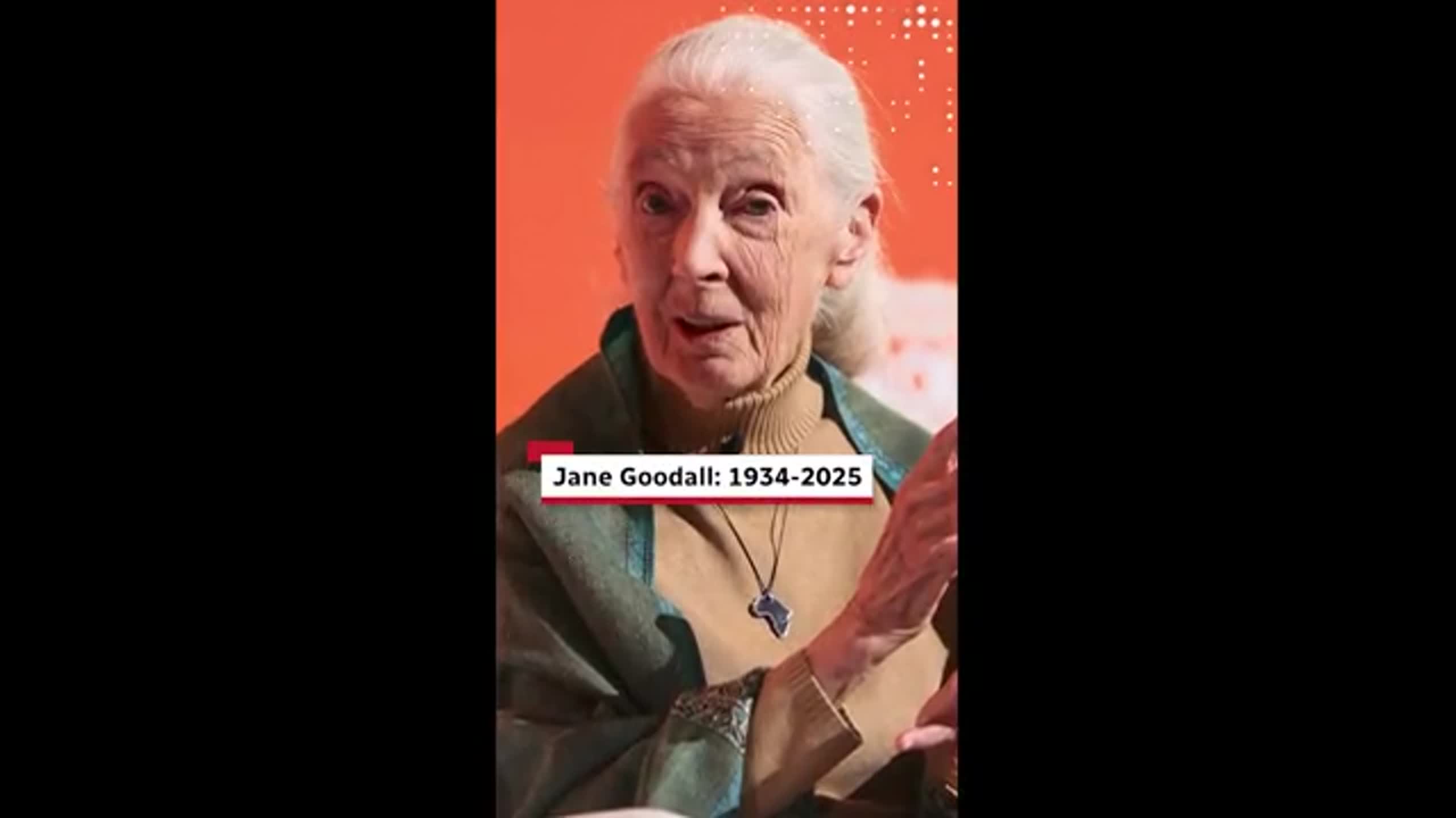 Jane Goodall reveals to fellow ‘Canes the moment she realized her destiny