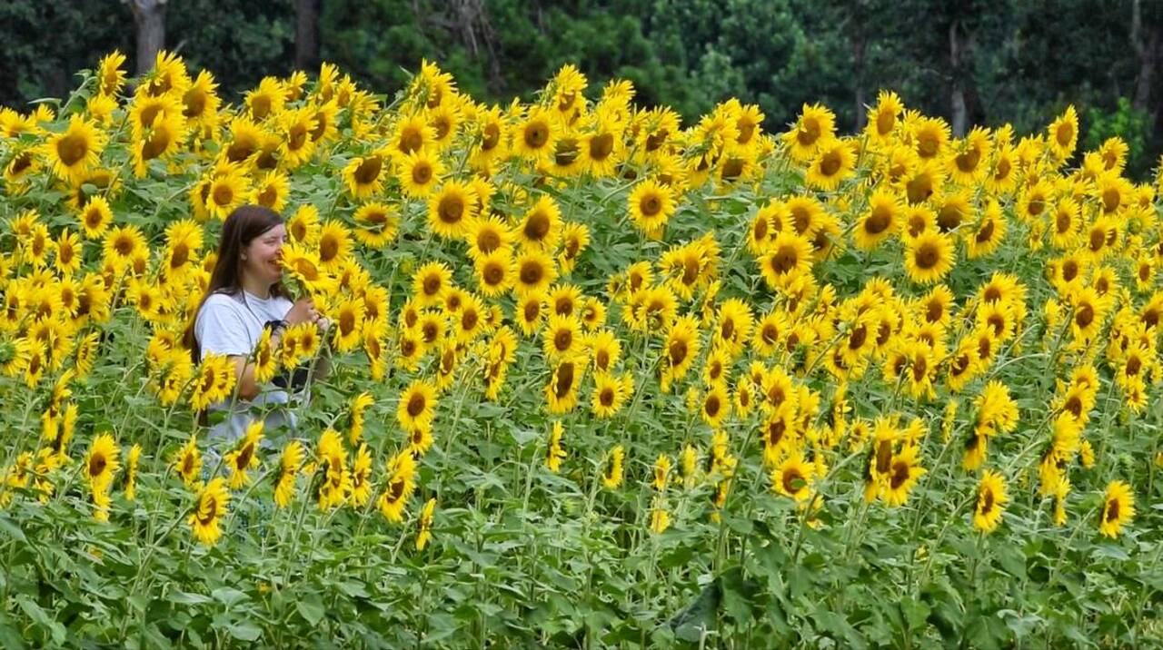 North Carolina isn’t one of the country’s happiest states. But it should be.