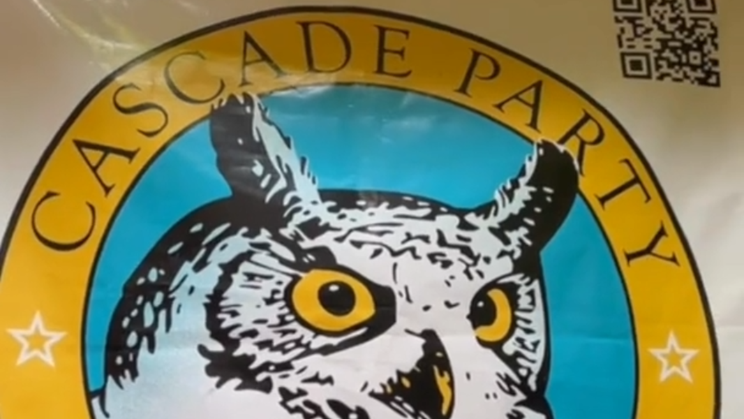 Nirvana's Krist Novoselic describes Cascade Party
