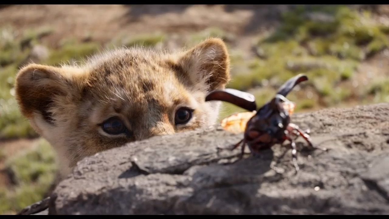Watch the new ‘Lion King’ movie trailer