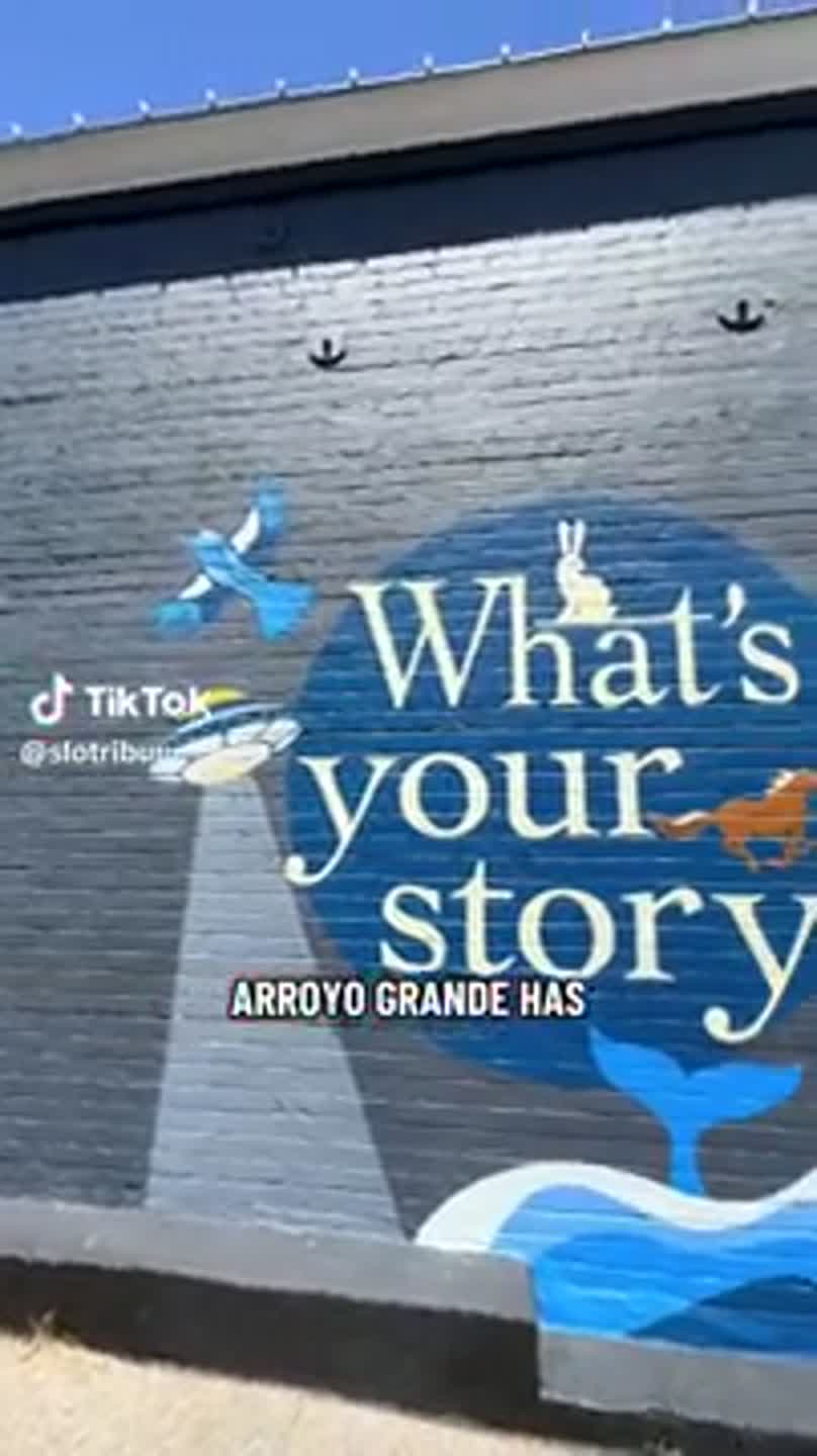 See new mural painted on SLO County bookstore