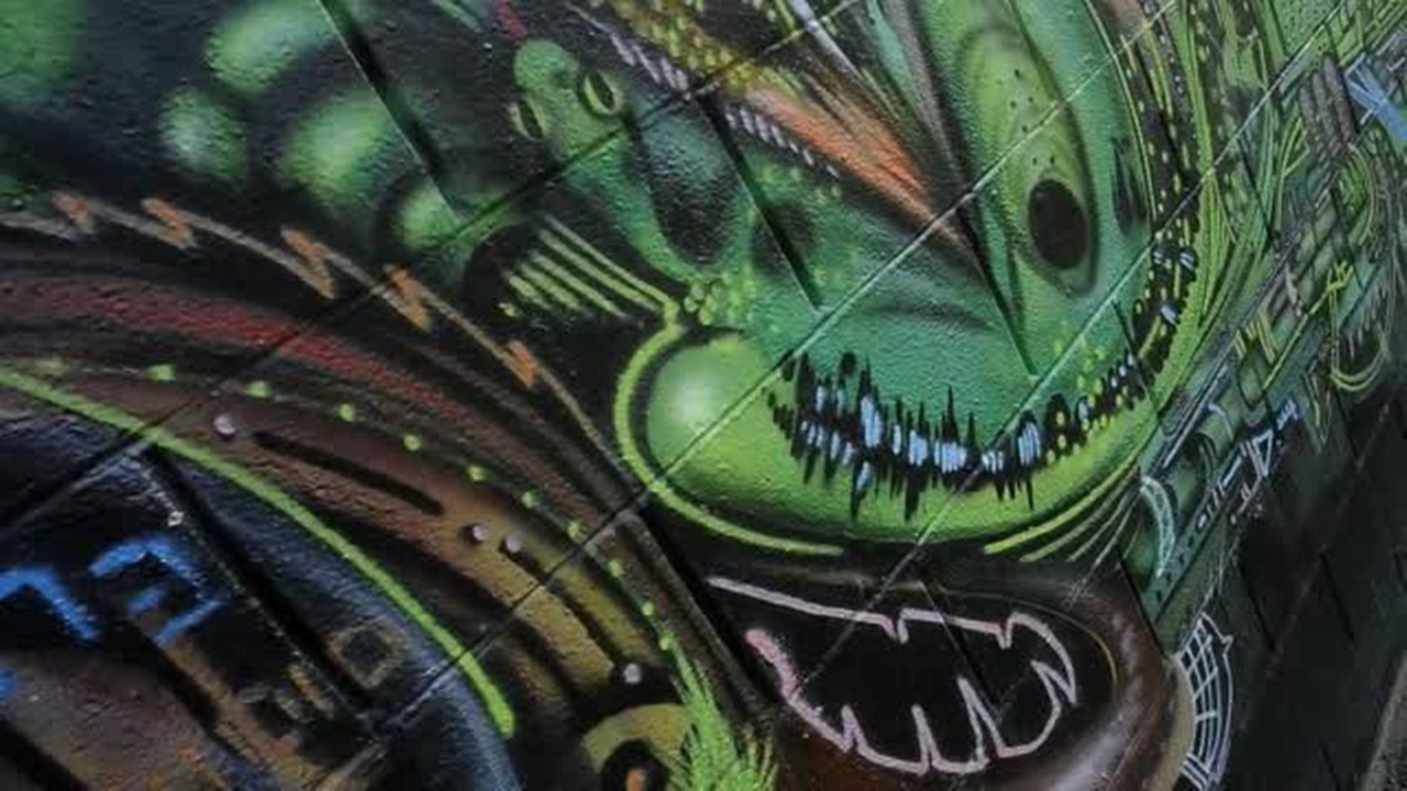 Graffiti artists paint massive wall at the Bizare Art Festival