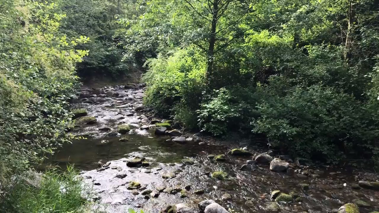 Fines from 1999 pipeline tragedy helped pay for these environmental projects and parks