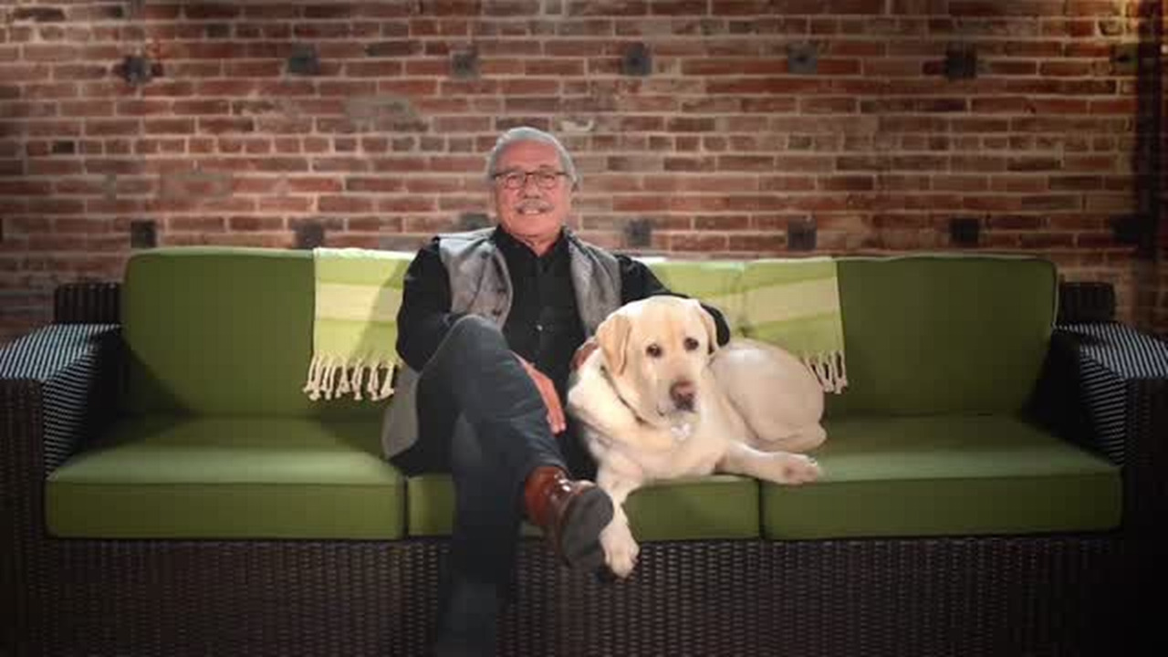 Do your pets freak out over fireworks? Here are tips to keep them safe this Fourth of July