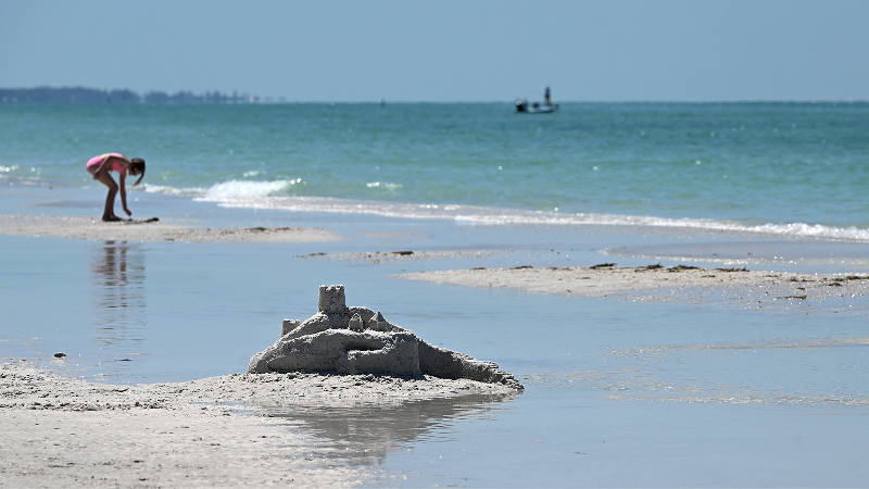 Anna Maria Island's Bean Point popular with tourists and sharks