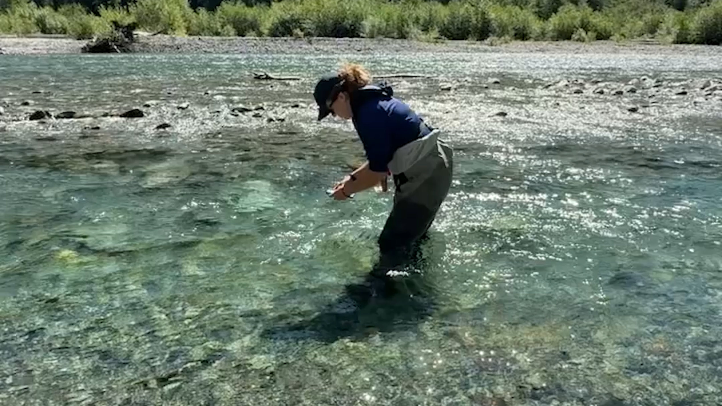 Scientist Cami Boesch collects water quality data on Baker River