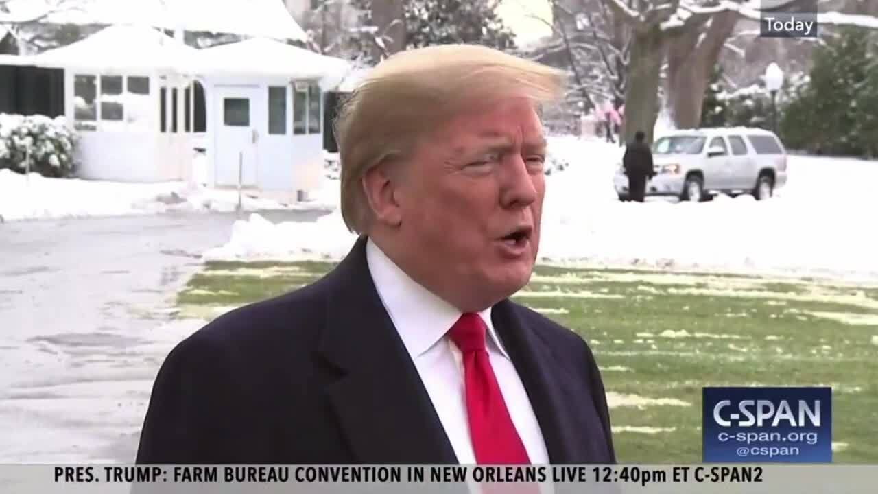 Fries with a side of politics: Tigers feted at White House with fanfare and fast food