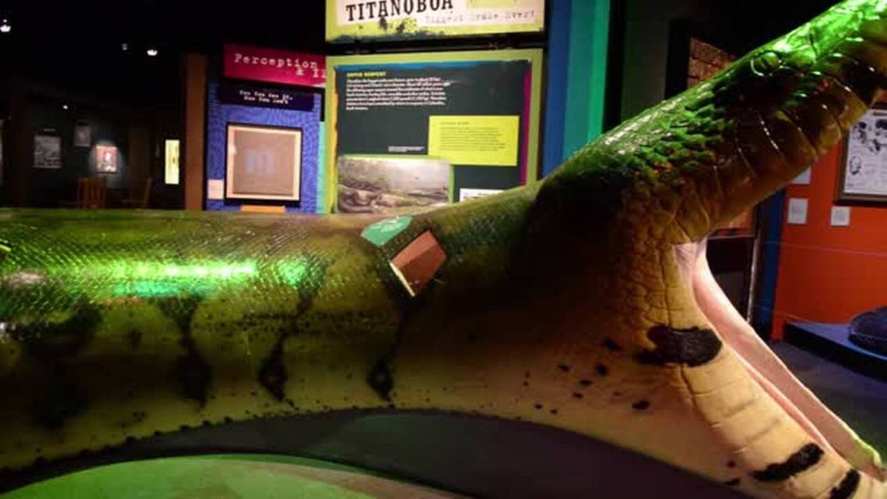 2017: Ripley’s exhibit opens in North Carolina’s Discovery Place