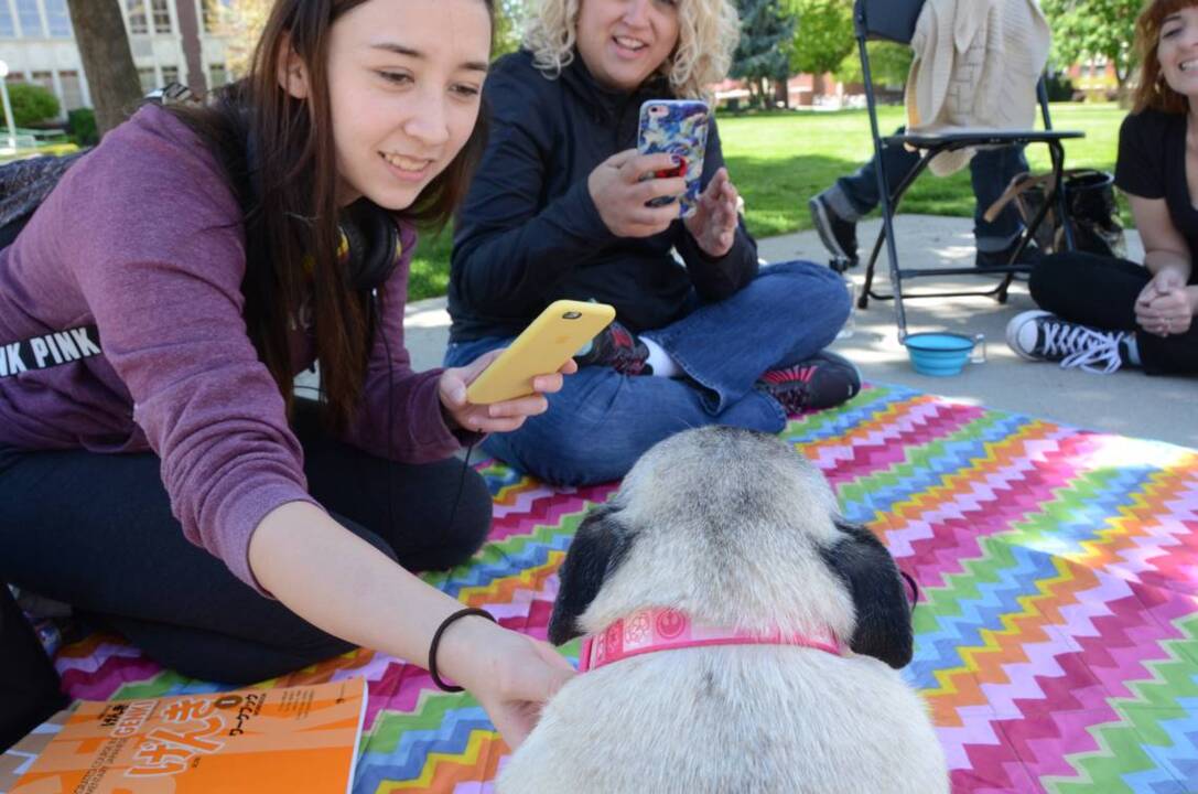 At Boise State University, therapy dogs are here to cheer you up if finals have got you down