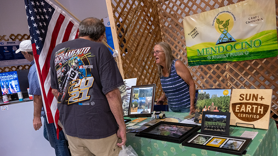 ‘We are unfairly picked on because we are growing cannabis’ says award-winning CA grower