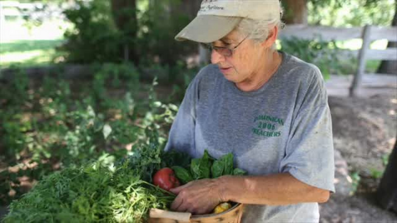 VIDEO: Heartland Farm near Great Bend