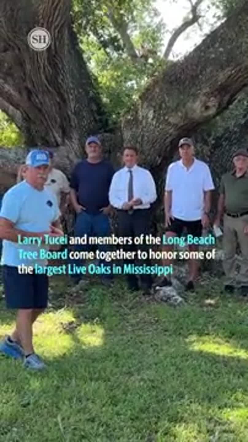Larry Tucei and the Long Beach community honor some of the largest live oaks on the Gulf Coast