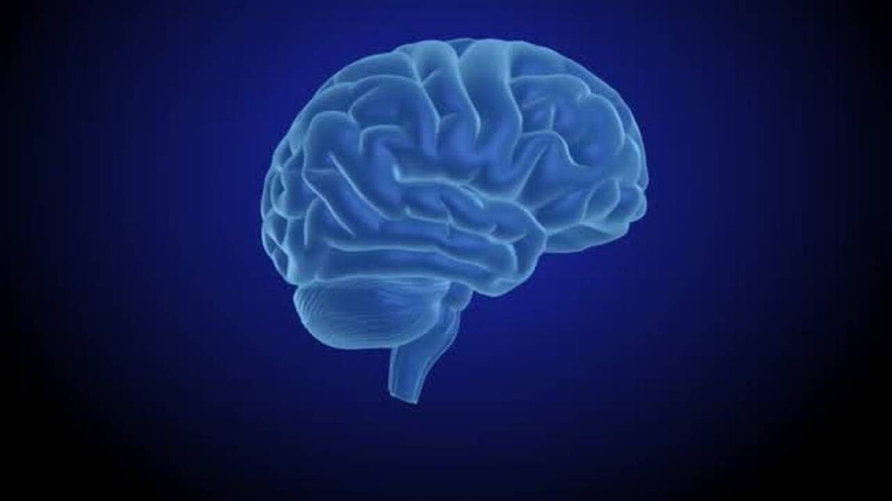 The reward circuit: How the brain responds to methamphetamine