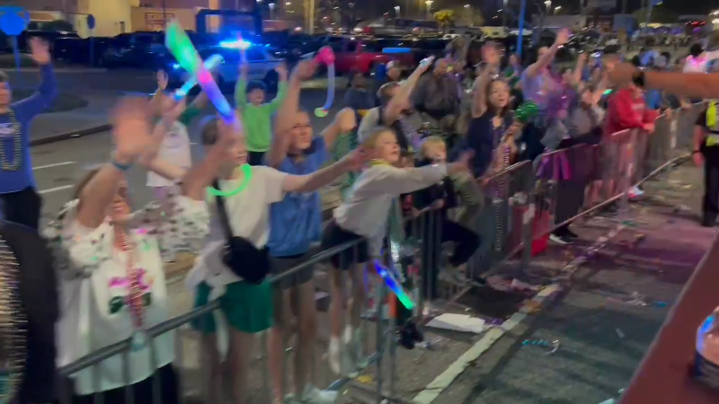 Mardi Gras parade goers at the Biloxi Night Parade.