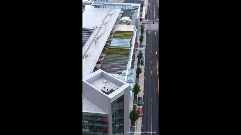In downtown Wichita, this farm is best viewed from above