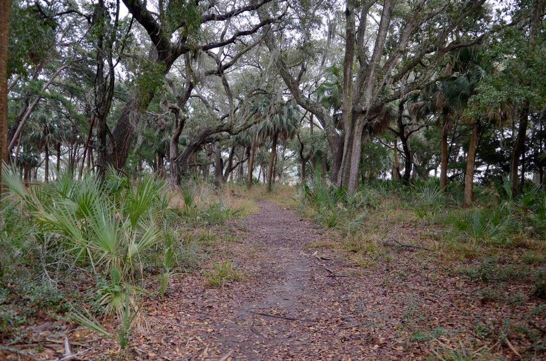 Love nature and hiking?  Check out these 5 Lowcountry hiking trails