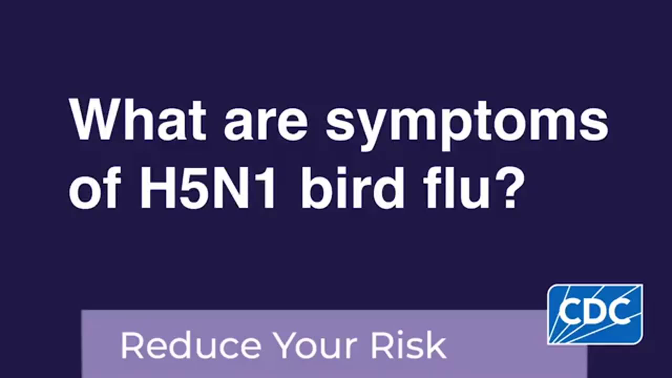 4th WA bird flu outbreak confirmed in large poultry farm. Warning issued