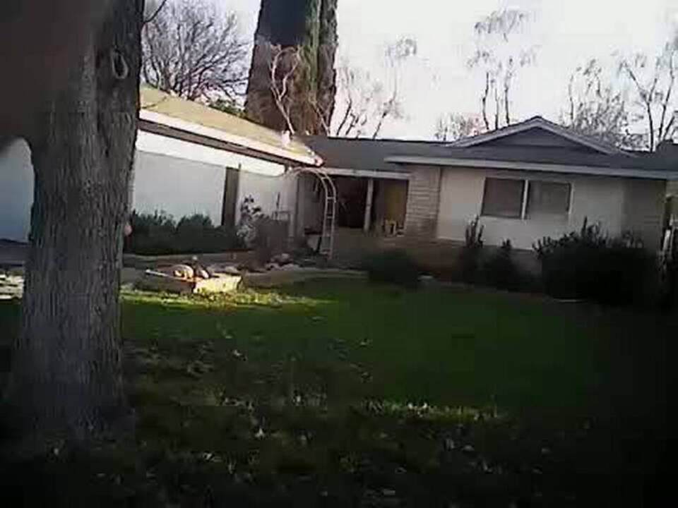 Modesto Police Body Camera Footage (short)