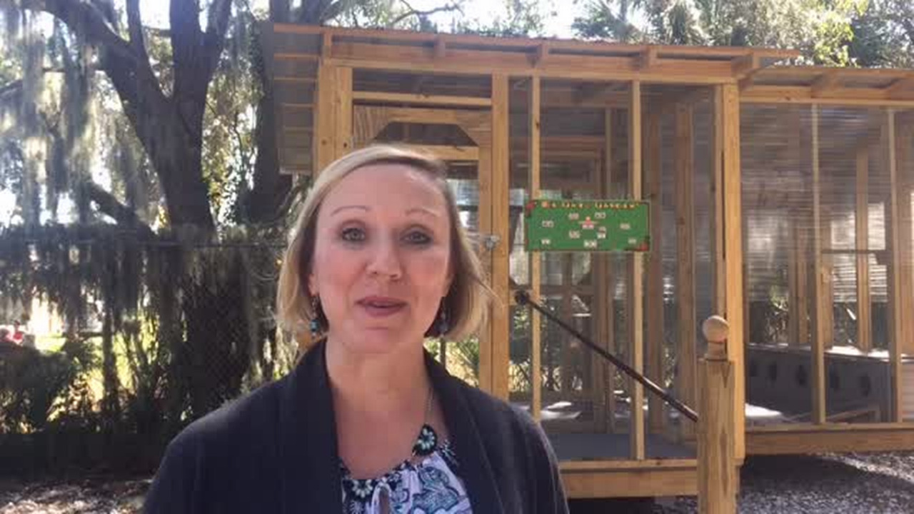 Manatee County Animal Services chief asks for community support