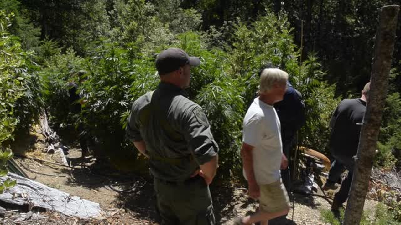 California officials visit pot farms to identify water use issues