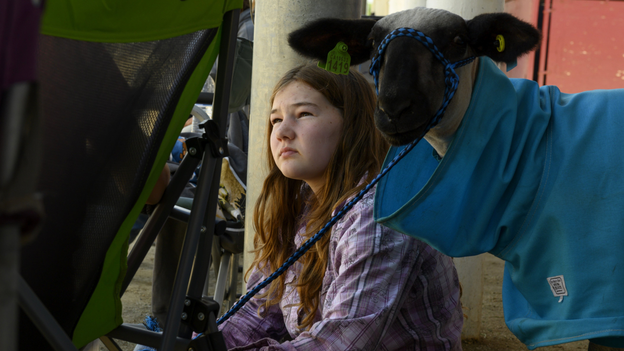 See what these 4-H kids like about the Sacramento County Fair