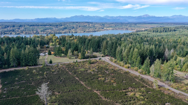 Pierce County winemaker clears 5 acres for new vineyard, farm and tasting room
