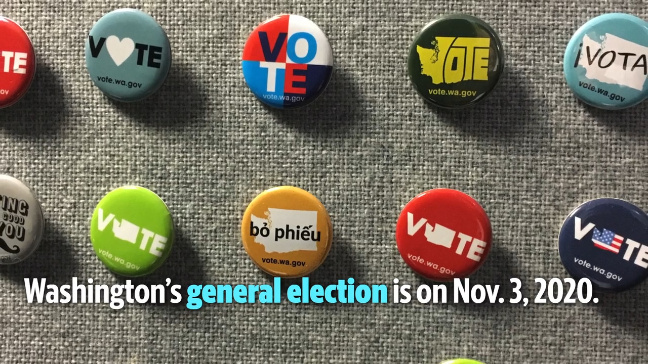 Bellingham voters can choose to extend this sales tax on election day