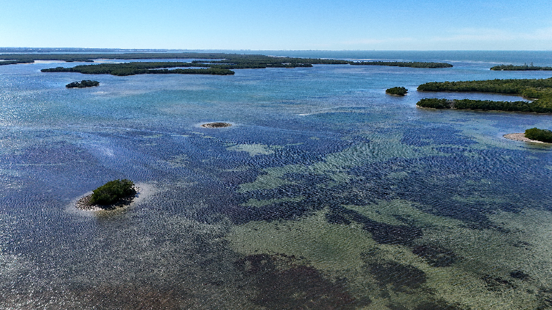 Cruise ships in Manatee County? Reporter explains terminal plans