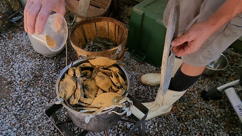 SC crabber shows how to steam live blue crabs in outdoor cooker
