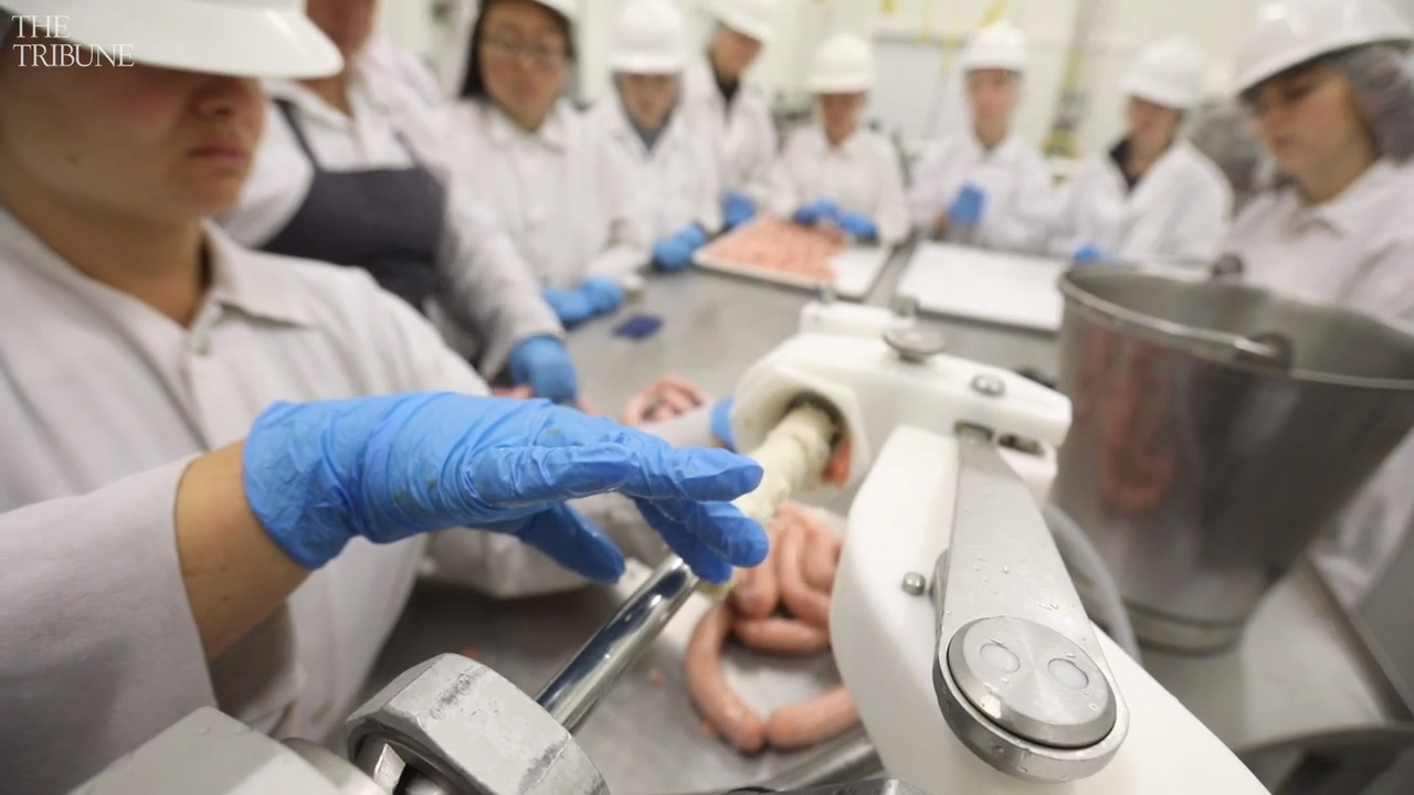 Slos Meat A look inside the Cal Poly SLO meat processing facility (Video) | San ...