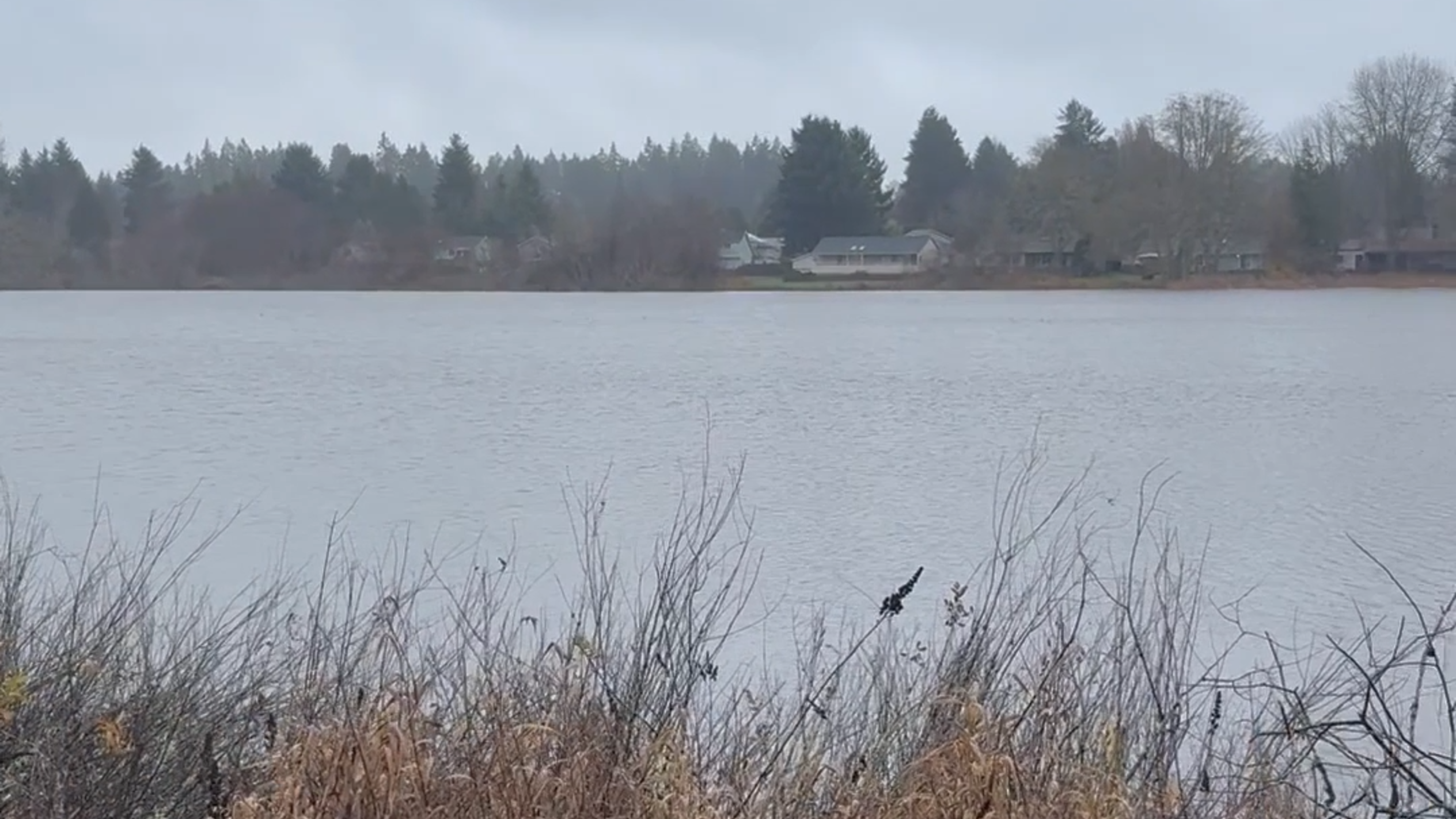 What does the Chambers Lake Drainage District do?