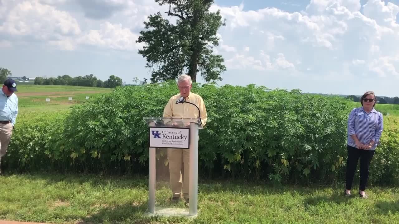 Mitch McConnell on Betsy Ross inspired Nike shoes: ‘I’ll make the first order’