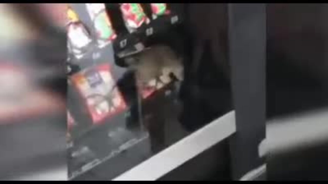 Rat spotted in vending machine