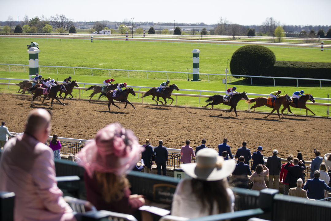 Photo slideshow: Highlights from Blue Grass Stakes day at Keeneland