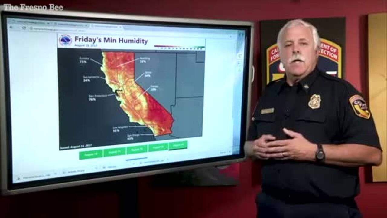 calfirepetsa.mp4