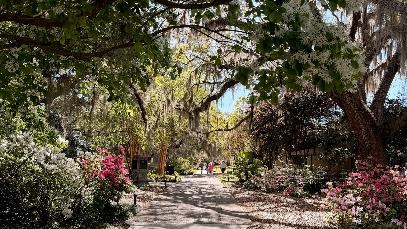 Exploring Brookgreen Gardens