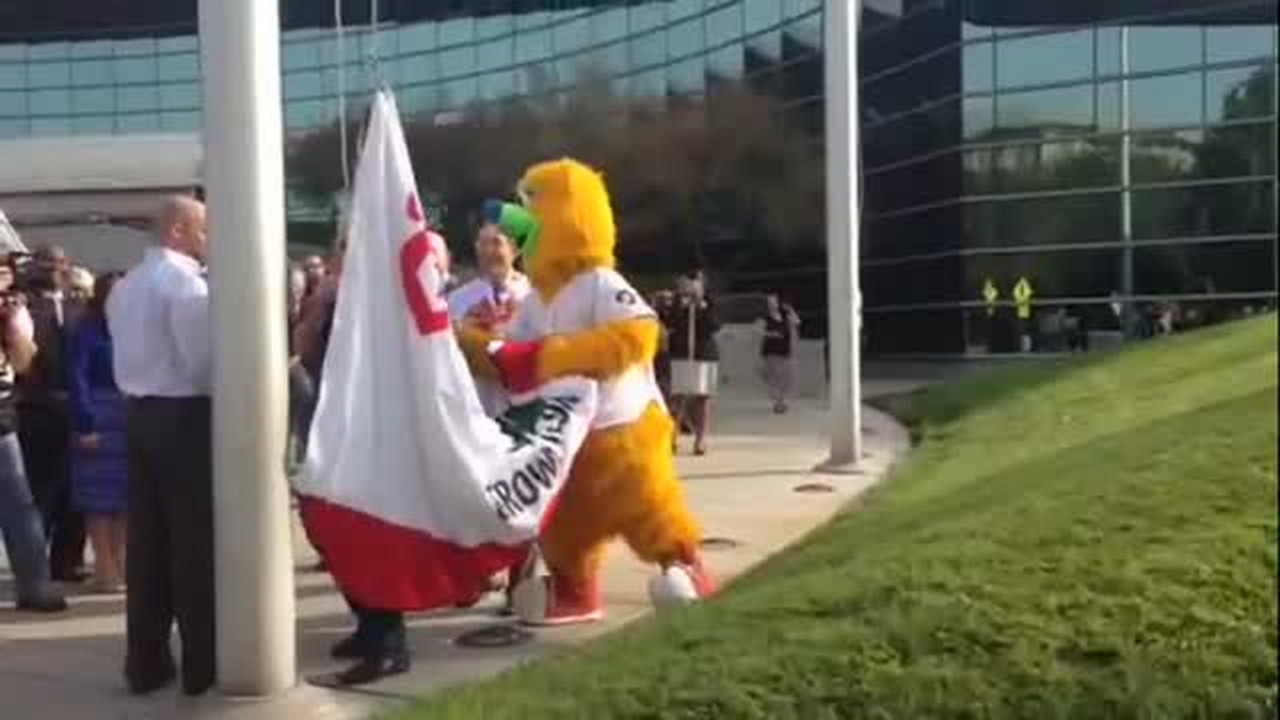 'Growlifornia' flag of national champ Fresno Grizzlies raised at City Hall 