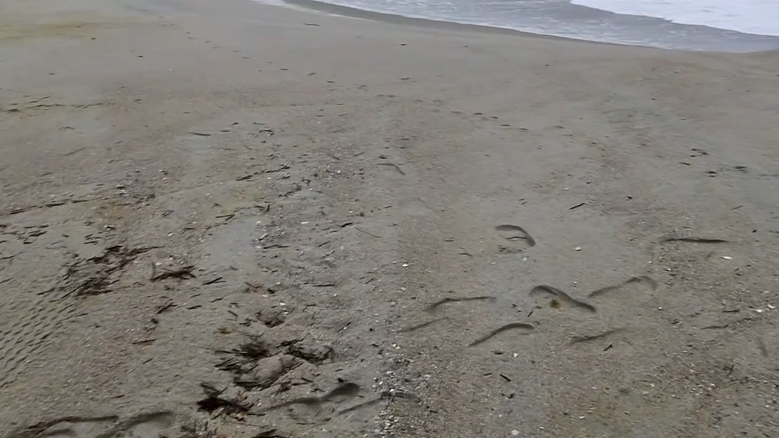 When can you expect impact of Hurricane Helene? A weather timeline for Myrtle Beach area