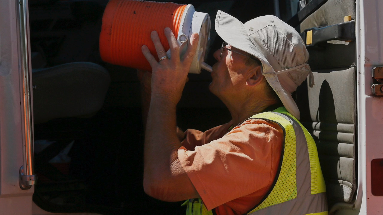 Dogs and cats feel Florida’s daily heat records, too. Here’s how to keep your pets safe