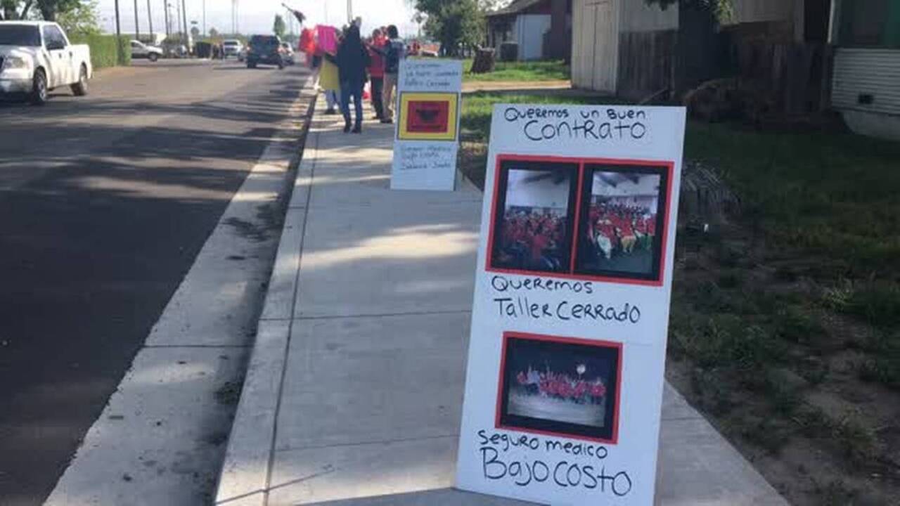 Here’s why Foster Farms will be adding new jobs at its Livingston chicken plant