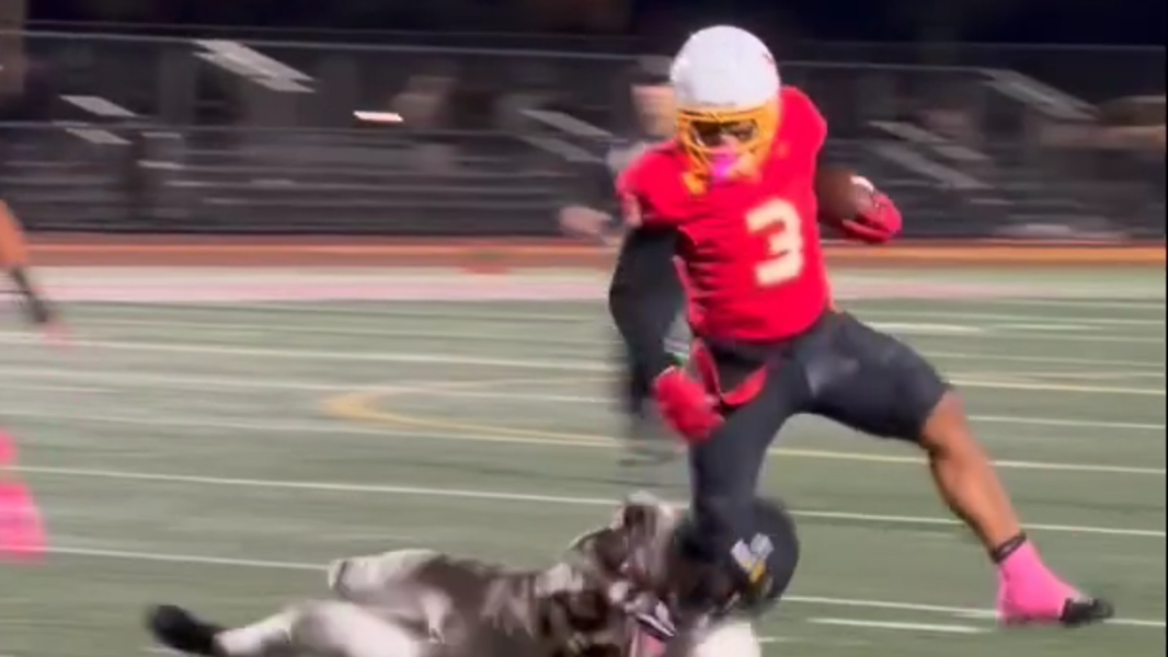 Full Game Highlights: Mount Tahoma rallies to beat rival Lincoln, 23-21