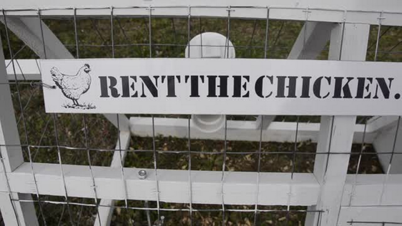 This company allows you to rent chickens