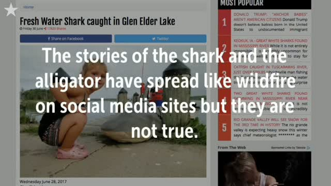 Was that a shark in that Kansas lake?