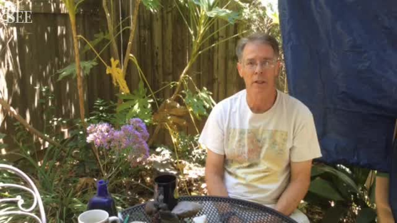 World-famous author has found his writing utopia – outdoors, under a tarp, in Davis