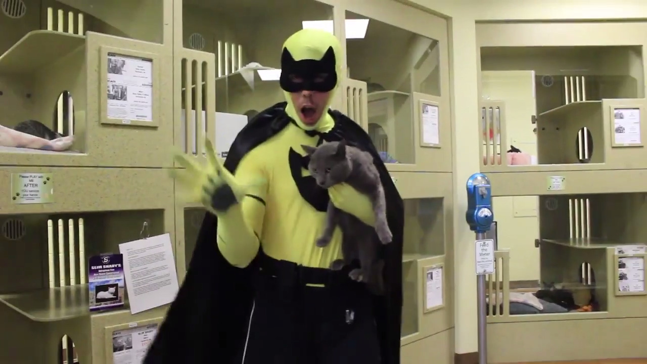Front Street Animal Shelter Free Adoptions